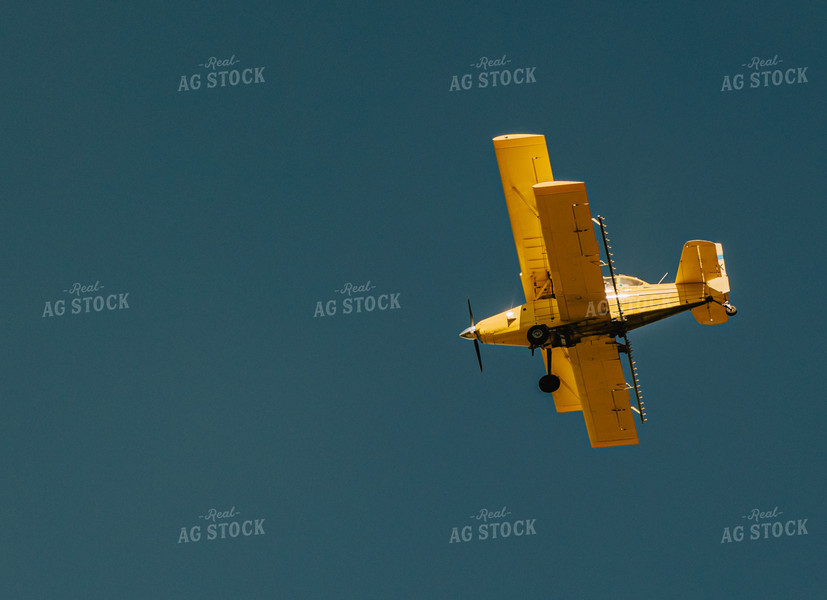 Crop Duster in Blue Sky 61078