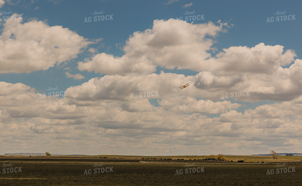 Crop Duster in Blue Sky 61086