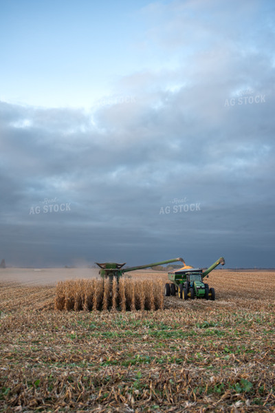 Combine Unloading onto Grain Cart at Sunset 76048