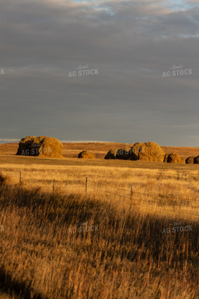Hay Stacks at Sunset 71004