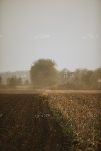 Field Border with Tilled and No-Till 5630