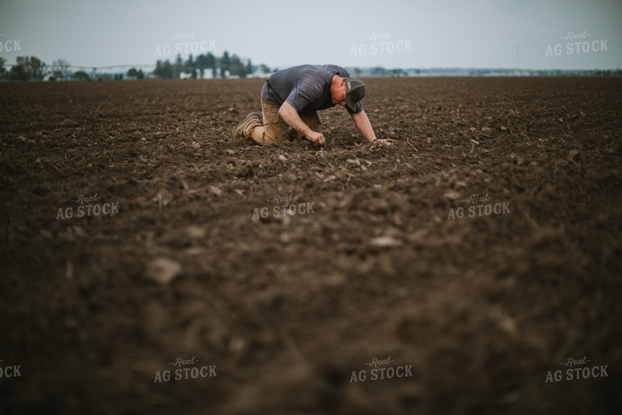 Farmer Checking Seed Depth 5677