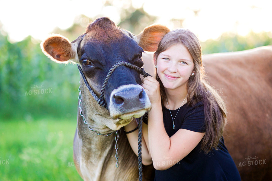 Brown Swiss Cow and Farm Kid 55148