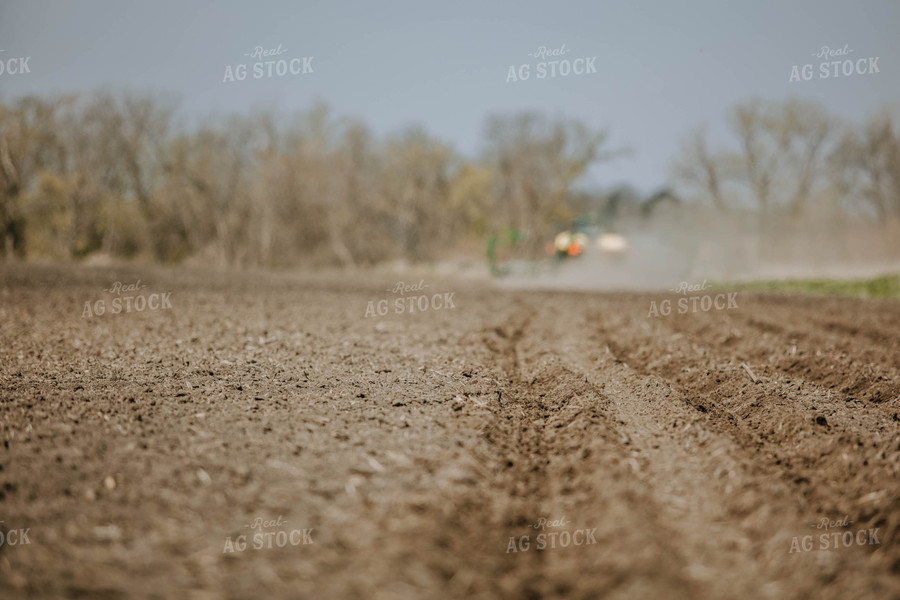 Planter in Distance 77015