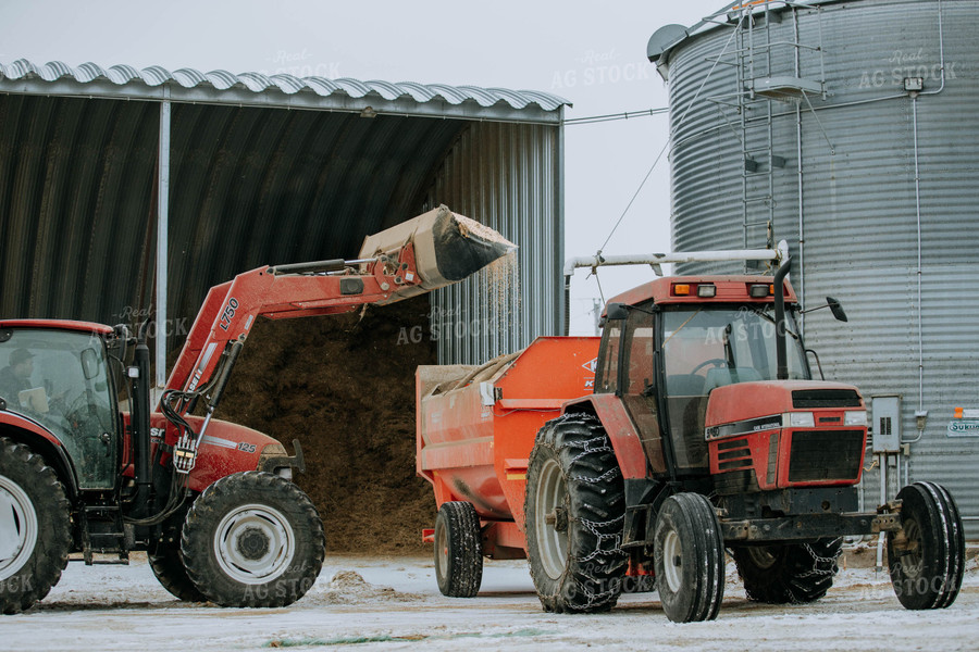 Tractor Emptying into feed mixer 77137