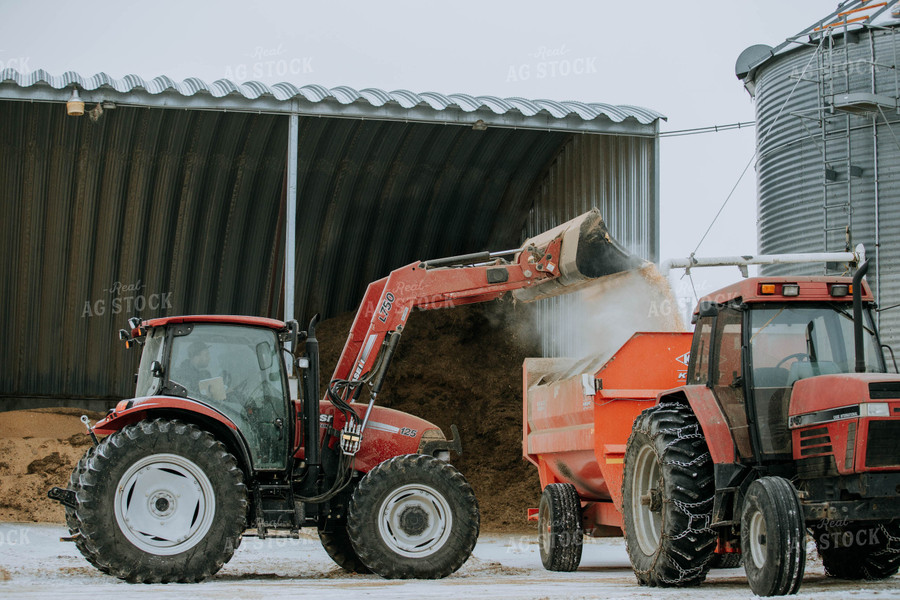 Tractor Emptying into feed mixer 77139