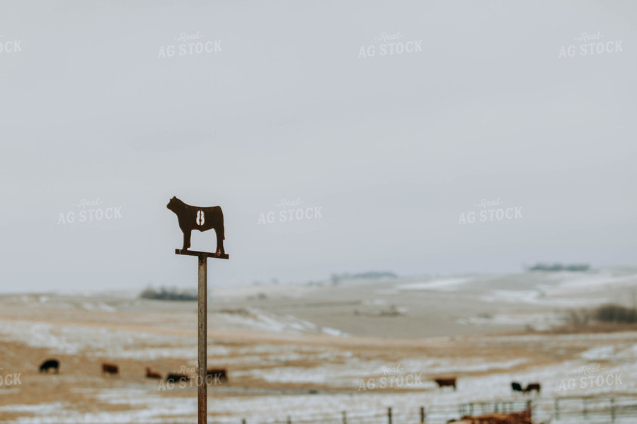 Decoration Overlooking Rural Landscape 77158