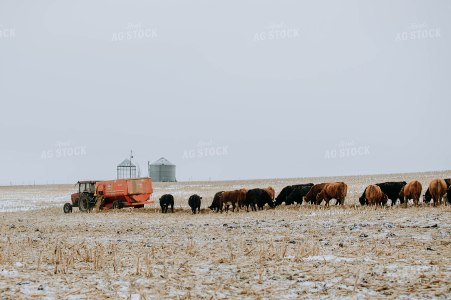 feed mixer Dispensing Feed 77178