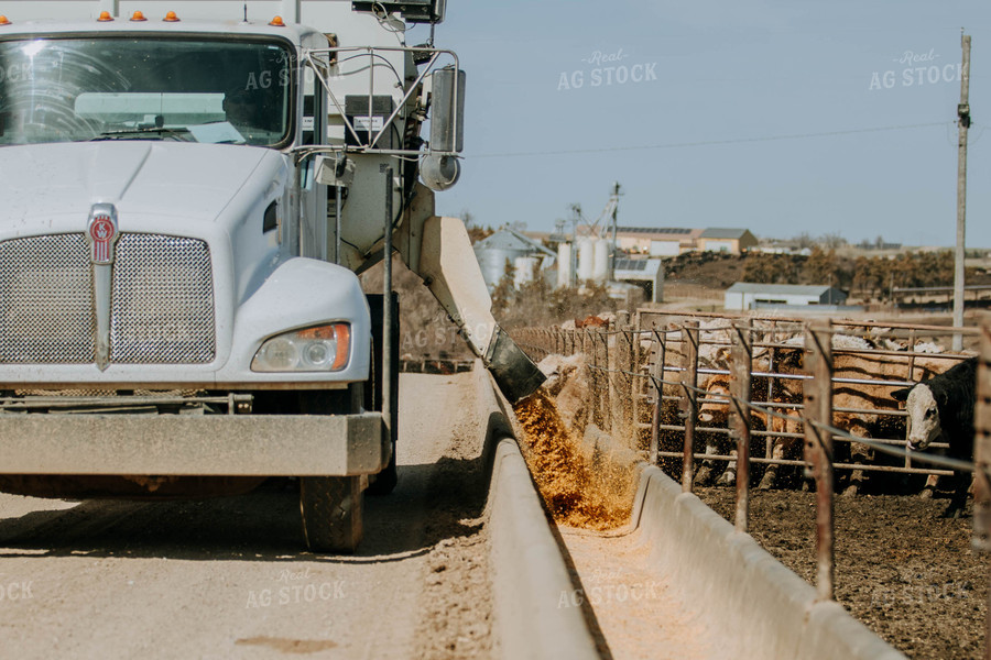 Truck Dispensing Feed 77202