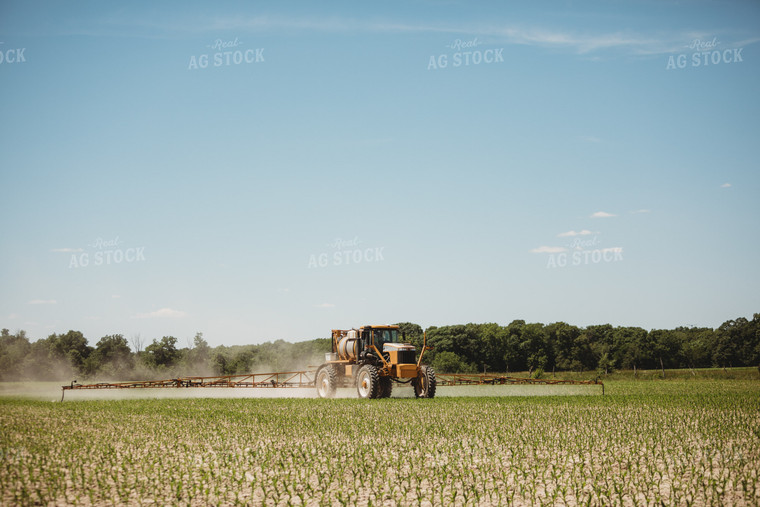 Spraying V3 V4 Corn Field 5788