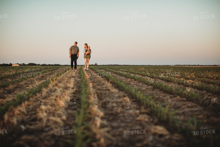 Farm Family Walking in Corn Field with Triticale Cover Crop at Sunset 5930