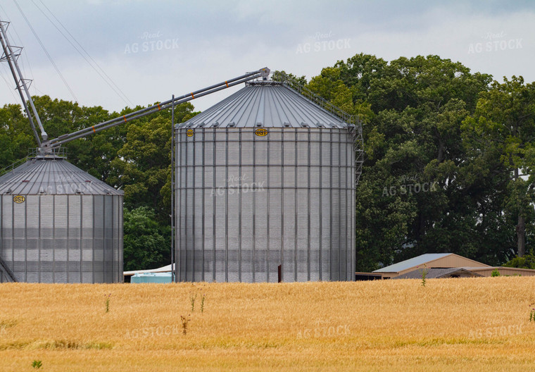 Field and Grain Bins 79013