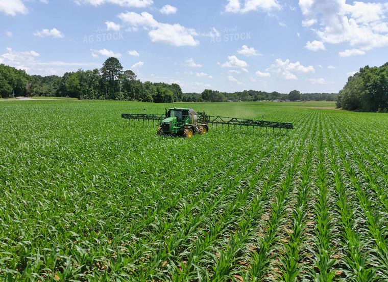 Sprayer in Corn Field 79033