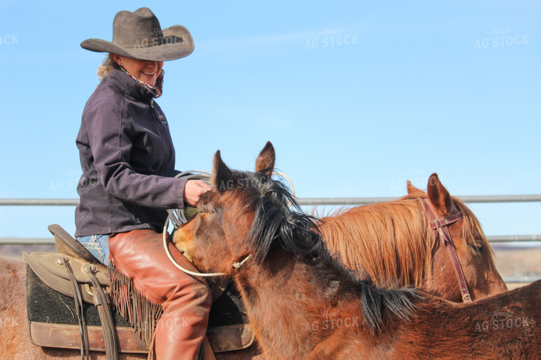 Female Rancher and Horses 78033