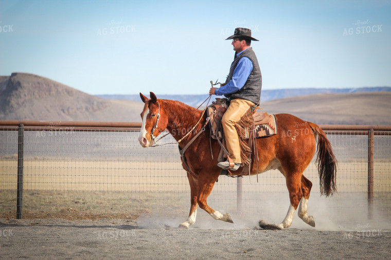 Male Rancher on Horse 78034