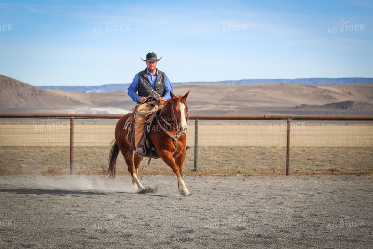 Male Rancher on Horse 78037