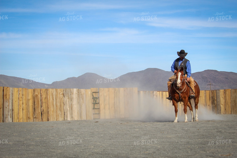 Male Rancher on Horse 78039