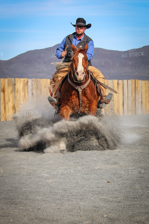 Male Rancher on Horse 78045