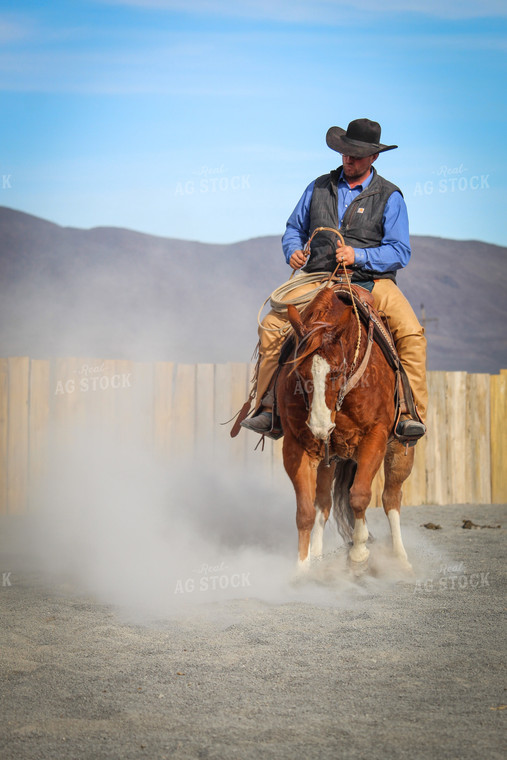 Male Rancher on Horse 78047