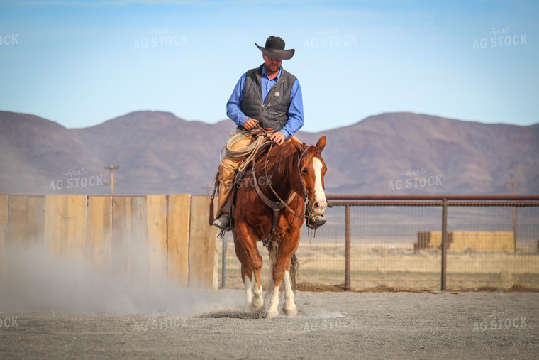 Male Rancher on Horse 78048