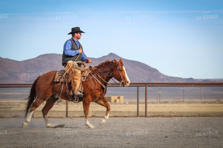 Male Rancher on Horse 78049