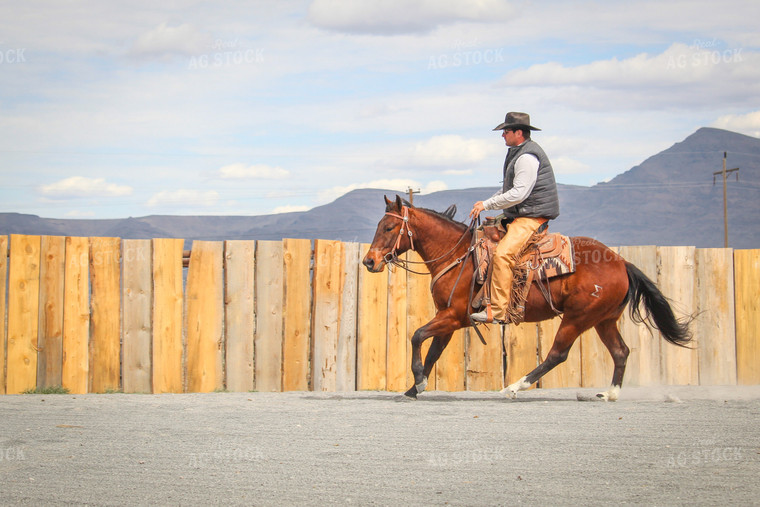 Male Rancher on Horse 78056