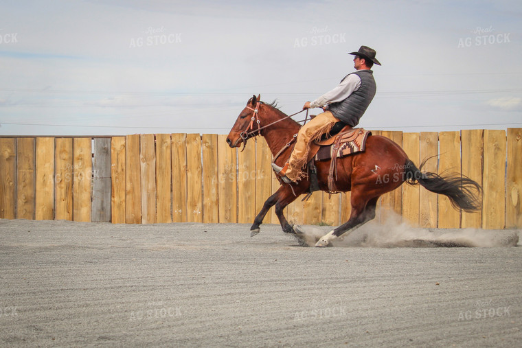 Male Rancher on Horse 78058