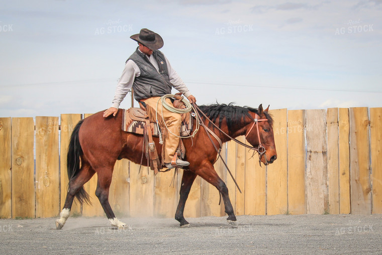 Male Rancher on Horse 78060