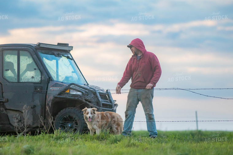 Dog and Farmer in Pasture 72050