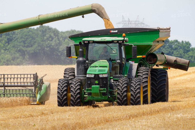 Auger Putting Wheat in Grain Cart 79070