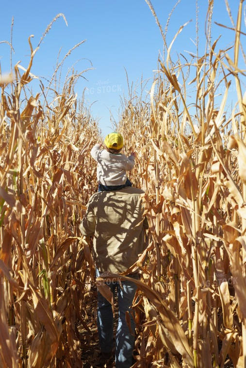 Farmer and Farm Kid in Corn Field 65029