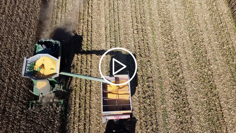 Corn Harvest Drone 52446