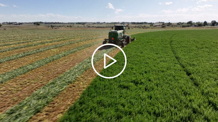 Cutting Alfalfa Field Drone 56402