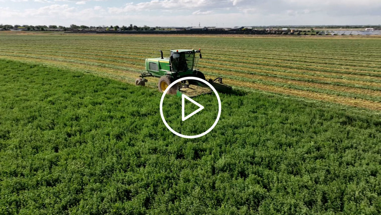 Cutting Alfalfa Field Drone 56403