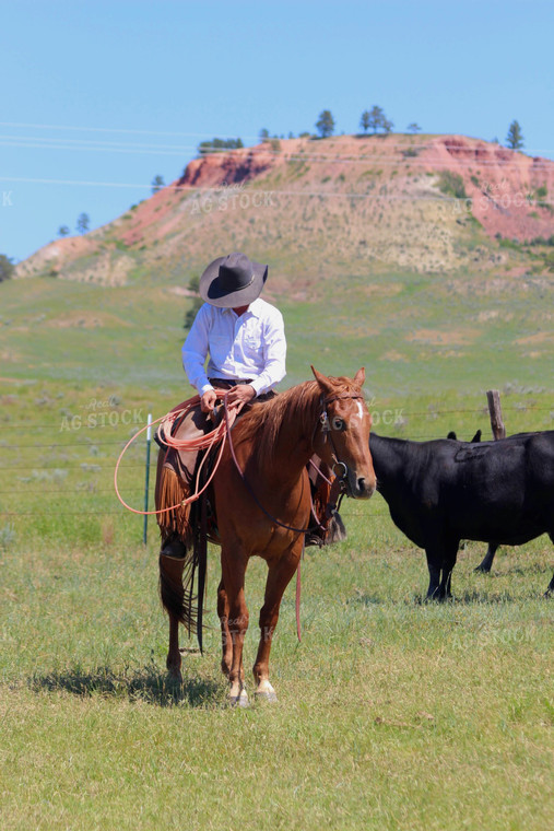 Rancher on Horse 63039