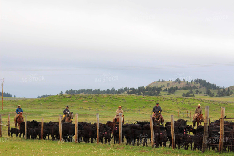 Cattlemen on Horses 63040