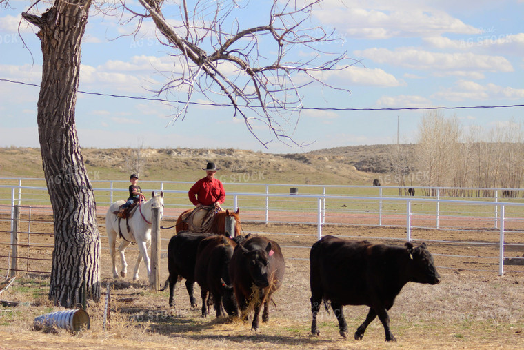 Cattlemen and Horses 63054