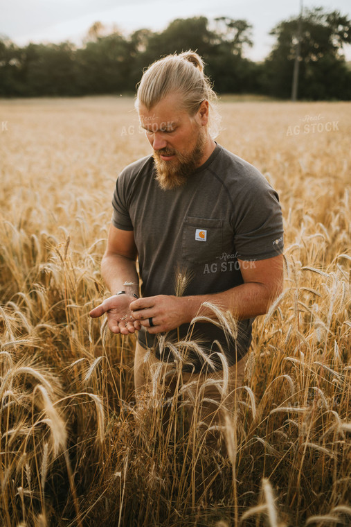 Farmer in Rye Field 5982