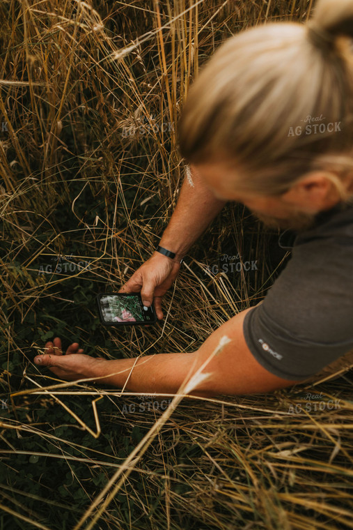 Farmer in Rye Field on Smart Phone 5993