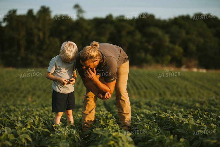 Farmer and Farm Kid in Soybean Field 6007