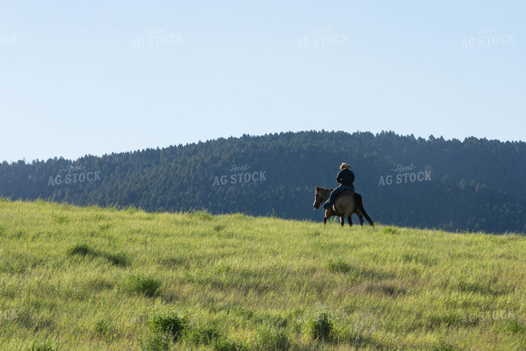 Rancher on Horse 81034