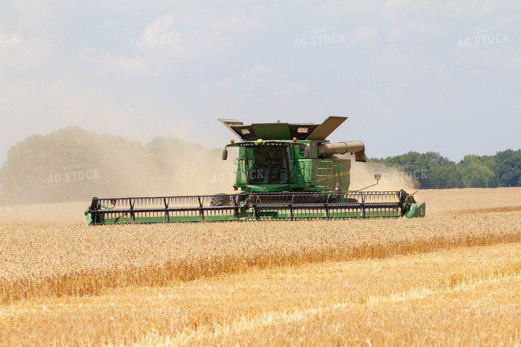 Combining Wheat 79099