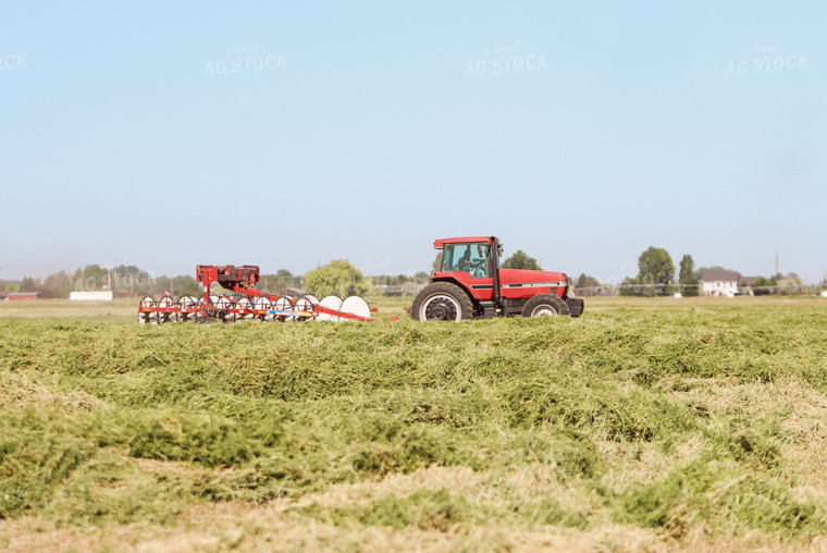 Windrowing Hay 83044