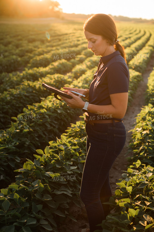 Agronomist or Farmer in Soybean Field with Tablet 6085