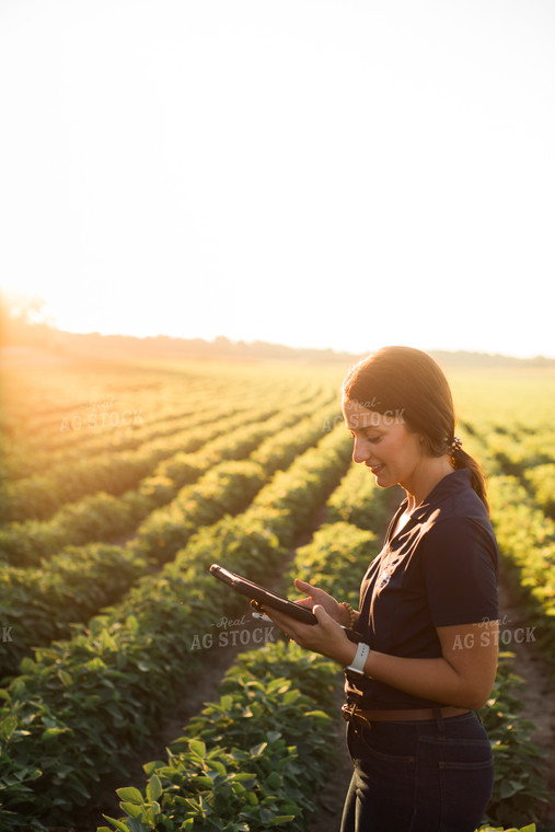 Agronomist or Farmer in Soybean Field with Tablet 6089