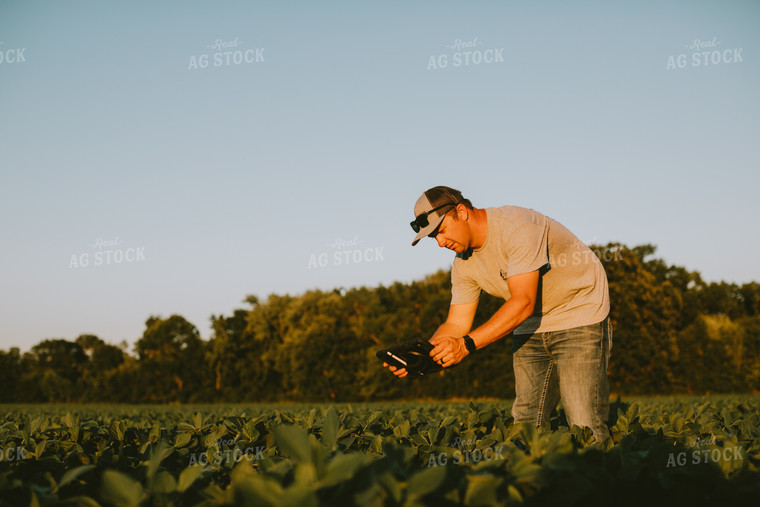 Farmer in Soybean Field with Tablet 6128