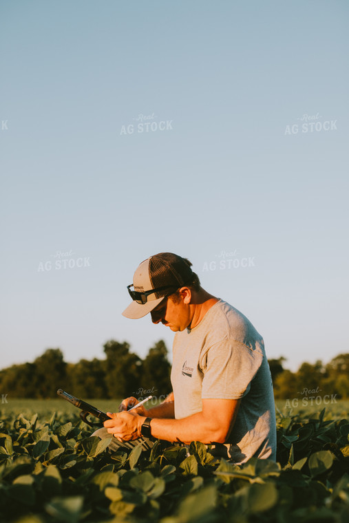 Farmer in Soybean Field with Tablet 6131
