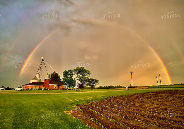 Rainbow Over Farm and Field 84030