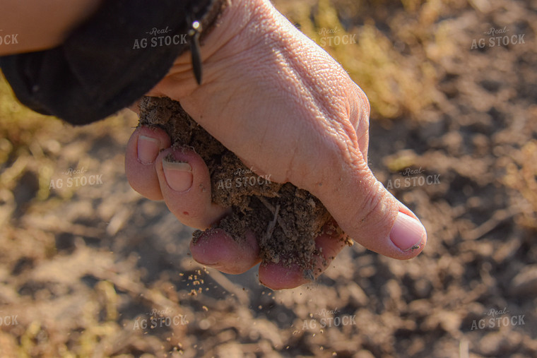 Farmer with Handful of Soil 84056