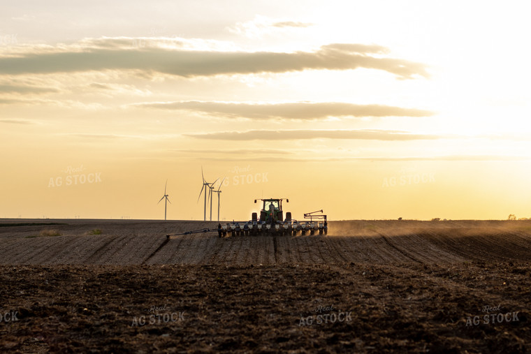 Planting Field at Sunset 67247